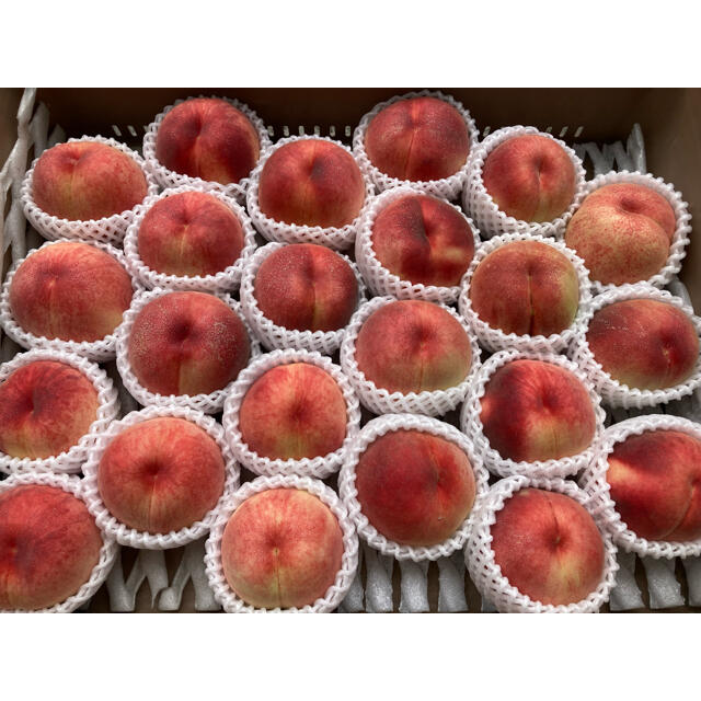 山形県産 減農薬栽培 桃 ご家庭用 2キロ以上 食品/飲料/酒の食品(フルーツ)の商品写真