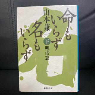 命もいらず名もいらず 下（明治篇）(文学/小説)