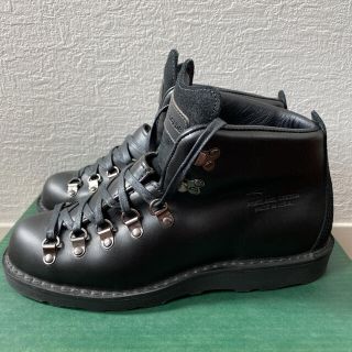 2022年春夏 世界限定400足 Danner マウンテンライト wings horns