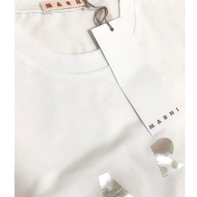 マルニ　ロゴTシャツ　ホワイト　14
