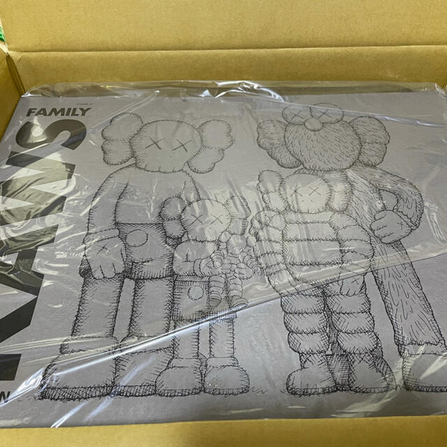 kaws family brown フィギュア　kaws tokyo first