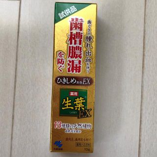 コバヤシセイヤク(小林製薬)の生葉　試供品　10g(歯磨き粉)