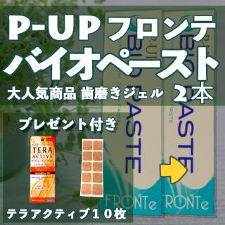 歯磨き剤 バイオペースト- 60g ×2【P-UP波/テラヘルツ】(歯磨き粉)