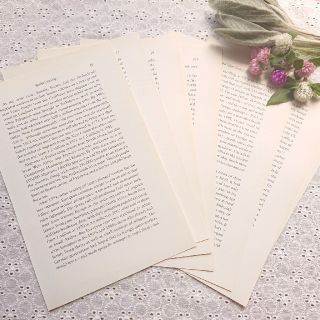 洋書 切り離し   25枚(洋書)