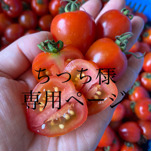ちっちページ　9キロ常温