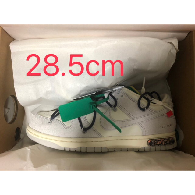 NIKE off-white dunk low 20of50 28.5cmダンク