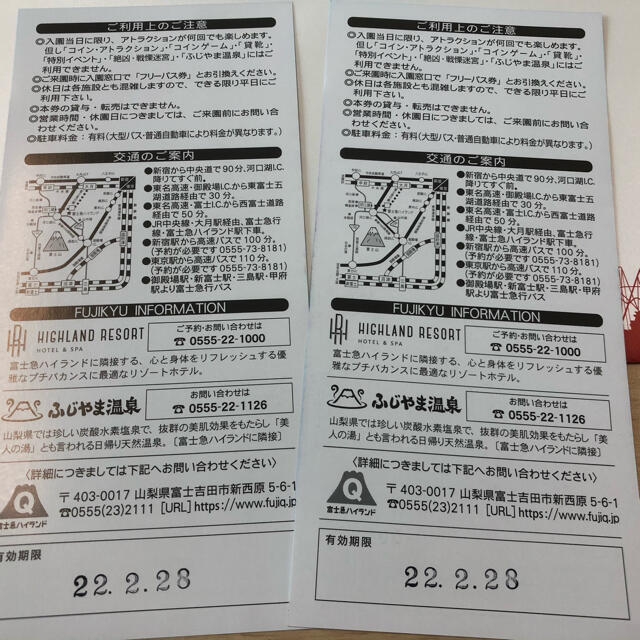 富士急ハイランドフリーパス 2枚セット | restaurantelburladero.com