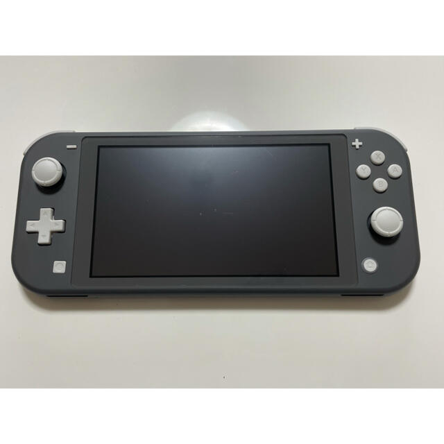 Nintendo Switch(ニンテンドースイッチ)のNintendo Switch Liteグレー　ケース付き エンタメ/ホビーのゲームソフト/ゲーム機本体(家庭用ゲーム機本体)の商品写真