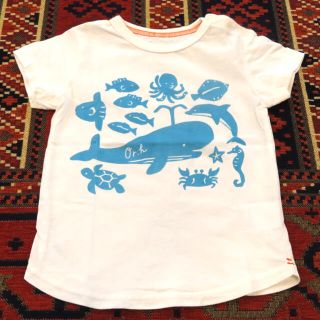 ハッカベビー(hakka baby)のhakka baby  orange hakka Tシャツ 90cm(Tシャツ/カットソー)