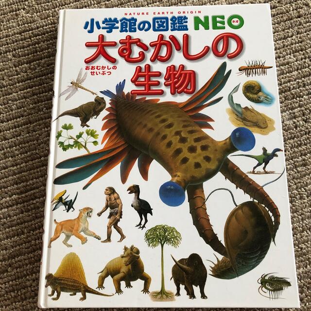 大むかしの生物 エンタメ/ホビーの本(絵本/児童書)の商品写真