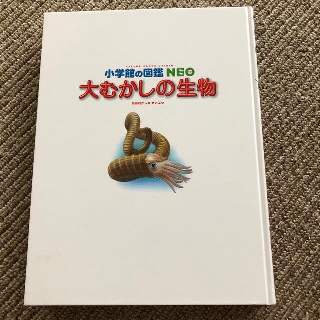 大むかしの生物 エンタメ/ホビーの本(絵本/児童書)の商品写真