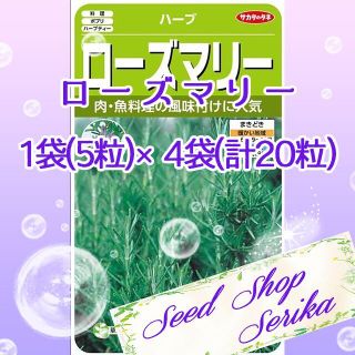 ローズマリー　家庭菜園 野菜 ハーブ 種(その他)