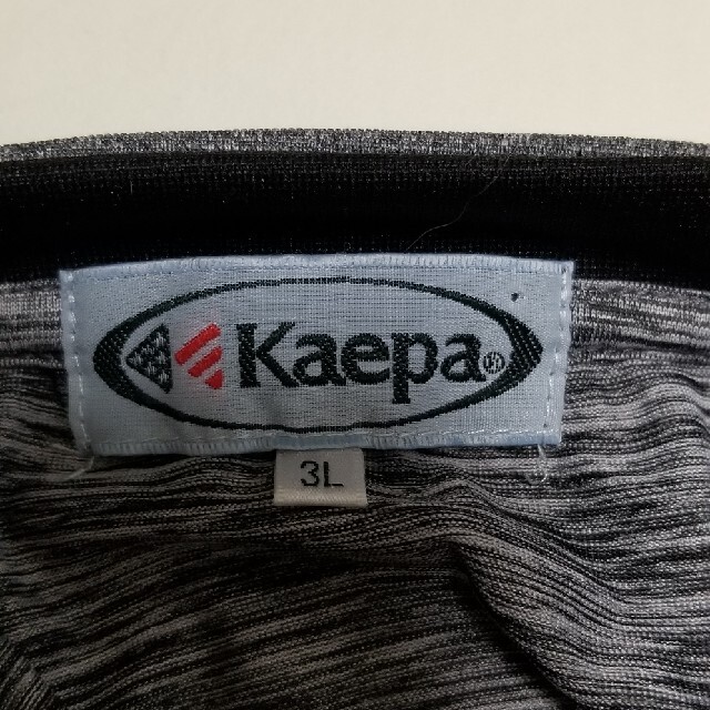 Kaepa(ケイパ)のkaepa　Tシャツ メンズのトップス(Tシャツ/カットソー(半袖/袖なし))の商品写真