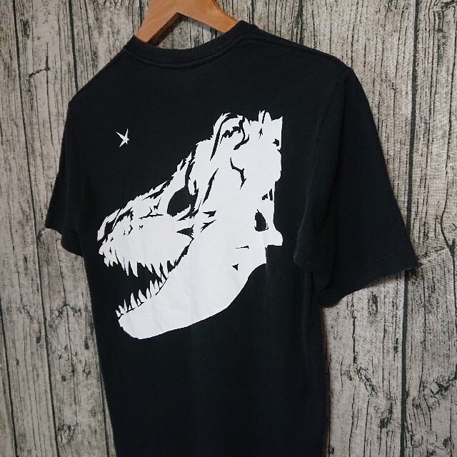 美品 STUSSY SISTA 初期タグ ステューシー シスタ ボーダー T