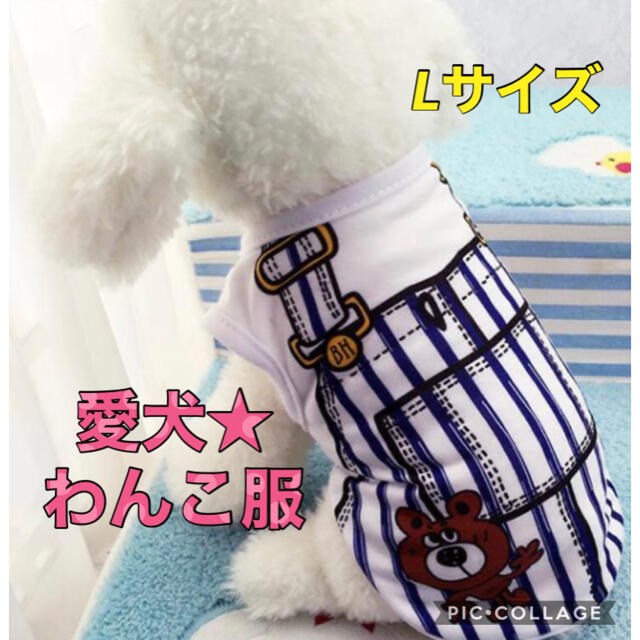 愛犬 わんこ 犬用 プリント Tシャツ 洋服 ストライプ ブルー  Lサイズ  ハンドメイドのペット(ペット服/アクセサリー)の商品写真