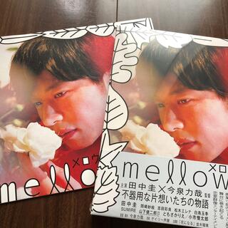 田中圭 mellow　Blu-ray DVD 2枚組 映画パンフレットセット(日本映画)