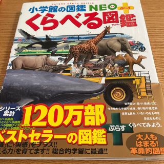 ショウガクカン(小学館)の【2冊セット】小学館の図鑑NEOくらべる図鑑&アトラス世界地図絵本(絵本/児童書)