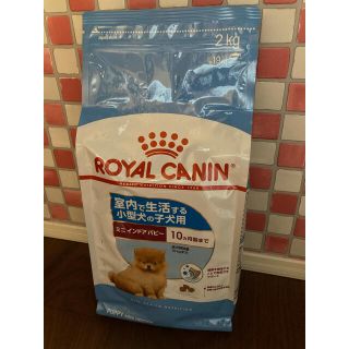 ロイヤルカナン(ROYAL CANIN)のROYALCANIN ロイヤルカナン　小型犬　子犬用(ペットフード)