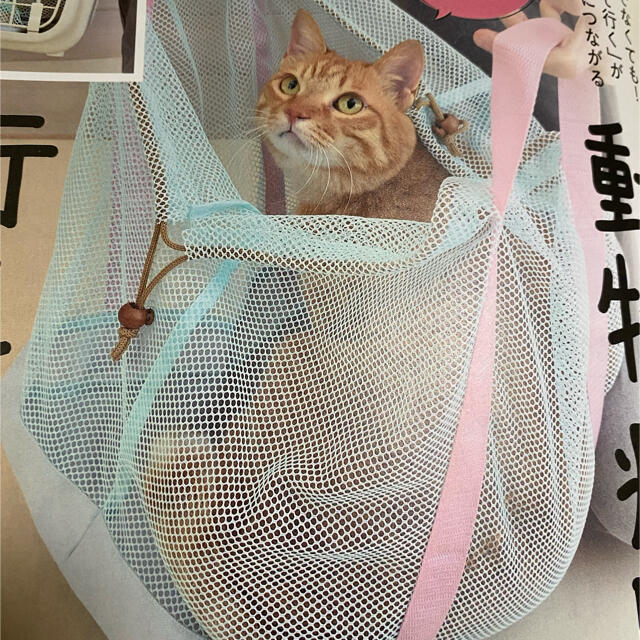 ねこのきもち　メッシュインナーバッグ その他のペット用品(猫)の商品写真