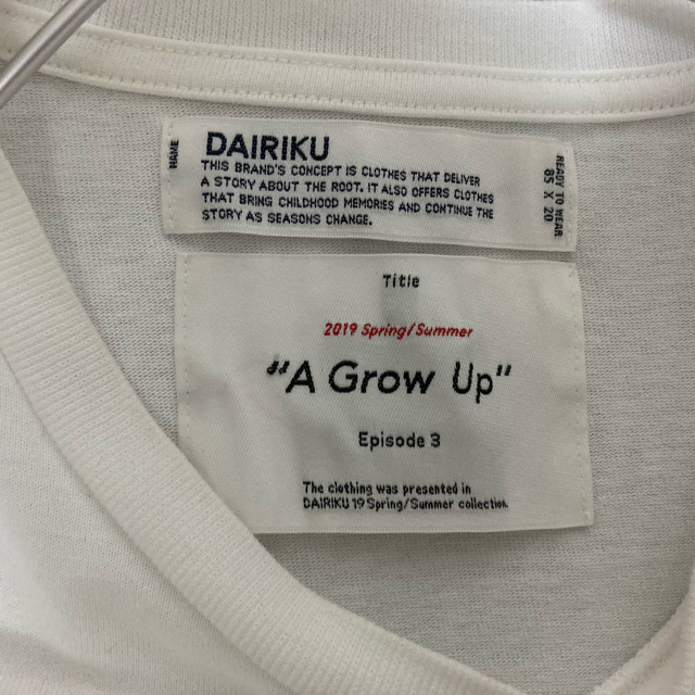 専用　19ss dairiku ダイリク　“ADULT” TシャツTシャツ/カットソー(半袖/袖なし)