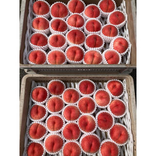 山形県産 減農薬栽培 桃 硬い桃 おどろき ご家庭用 2キロ以上(フルーツ)