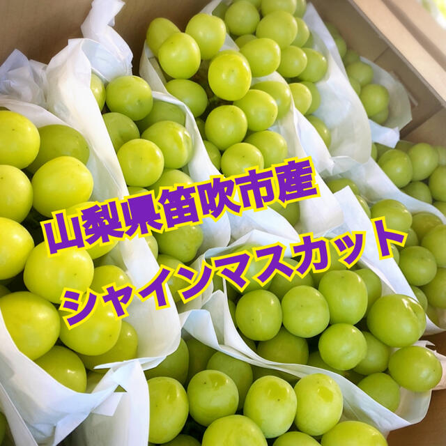 kintaro様専用　シャインマスカット 食品/飲料/酒の食品(フルーツ)の商品写真