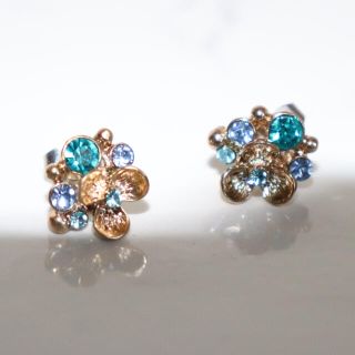 ピアス(ピアス)