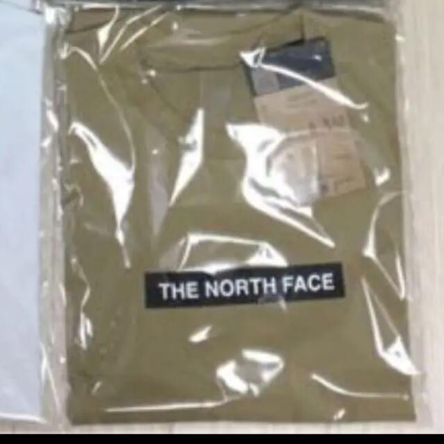 THE NORTH FACE(ザノースフェイス)の【satoru様専用】ノースフェイス　Tシャツ2点セット　ボックスロゴ　Lサイズ メンズのトップス(Tシャツ/カットソー(半袖/袖なし))の商品写真