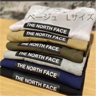 ザノースフェイス(THE NORTH FACE)の【satoru様専用】ノースフェイス　Tシャツ2点セット　ボックスロゴ　Lサイズ(Tシャツ/カットソー(半袖/袖なし))