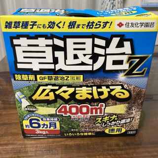 [さるまたけ様専用]住友化学園芸 除草剤 GF草退治Z 粒剤 3kg(その他)