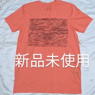 アルマーニエクスチェンジ(ARMANI EXCHANGE)のアルマーニ　エクスチェンジ　Tシャツ　新品未使用　 ARMANI(Tシャツ/カットソー(半袖/袖なし))