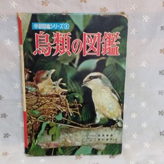 ショウガクカン(小学館)の昭和38年発行　鳥類の図鑑(絵本/児童書)