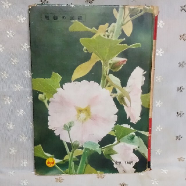 小学館(ショウガクカン)の植物の図鑑 エンタメ/ホビーの本(絵本/児童書)の商品写真