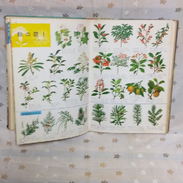 小学館(ショウガクカン)の植物の図鑑 エンタメ/ホビーの本(絵本/児童書)の商品写真