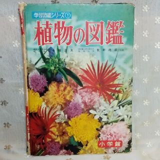 ショウガクカン(小学館)の植物の図鑑(絵本/児童書)