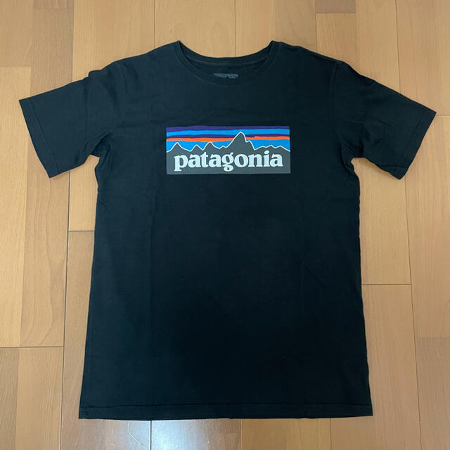 patagonia(パタゴニア)のパタゴニア Tシャツ レディースのトップス(Tシャツ(半袖/袖なし))の商品写真