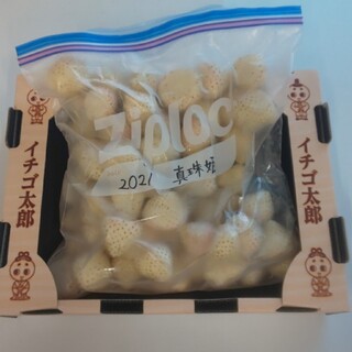  在庫限り2割引！奈良県産 高級イチゴ 冷凍イチゴ 真珠姫(白イチゴ) ２キロ(フルーツ)