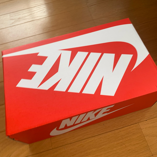 NIKE(ナイキ)のNike ダンク low  Cider 27 メンズの靴/シューズ(スニーカー)の商品写真