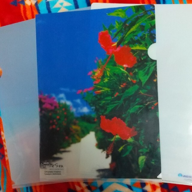 沖縄・竹富島のクリアファイル ハイビスカス エンタメ/ホビーのコレクション(その他)の商品写真