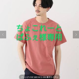 ザノースフェイス(THE NORTH FACE)のノースフェイス　パープルレーベル　pocket tee　新品(Tシャツ/カットソー(半袖/袖なし))