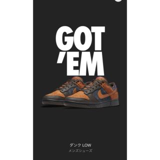 ナイキ(NIKE)のNIKE dunk low retro premium CIDER ナイキ (スニーカー)