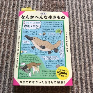 図解なんかへんな生きもの(絵本/児童書)