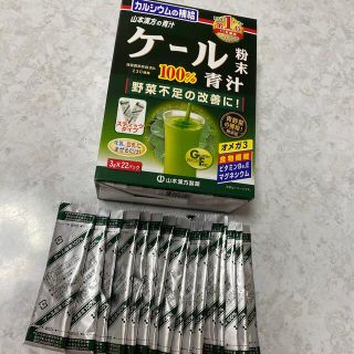 山本漢方　ケール　青汁(青汁/ケール加工食品)