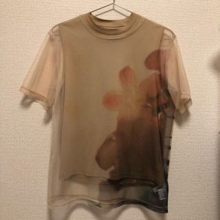 アメリヴィンテージ(Ameri VINTAGE)の専用商品！AMERI SPRING MORNING COLLAB TEE(Tシャツ/カットソー(半袖/袖なし))