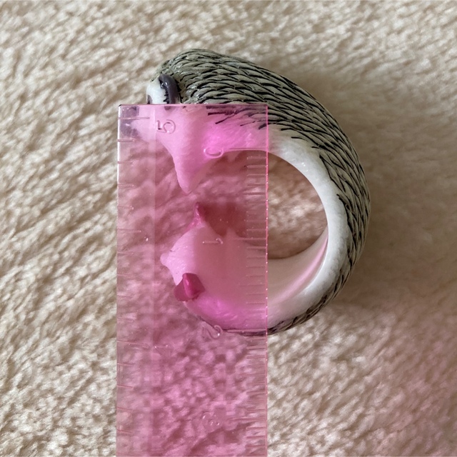 FRAPBOIS(フラボア)のハリネズミ　指輪 レディースのアクセサリー(リング(指輪))の商品写真