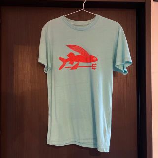 パタゴニア(patagonia)のパタゴニア　ティシャツ(Tシャツ/カットソー(半袖/袖なし))