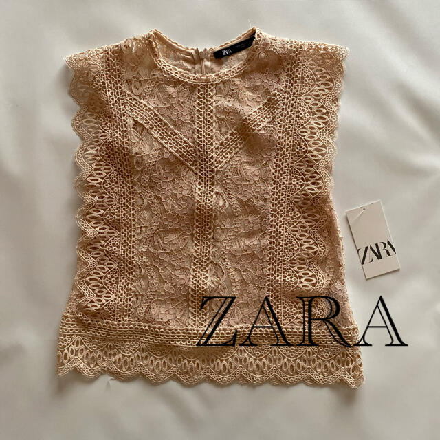 ZARA(ザラ)の新品／ZARA レース　トップス　 レディースのトップス(シャツ/ブラウス(半袖/袖なし))の商品写真