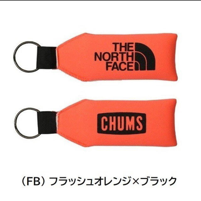 THE NORTH FACE(ザノースフェイス)のトーアー様専用　 メンズのファッション小物(キーホルダー)の商品写真