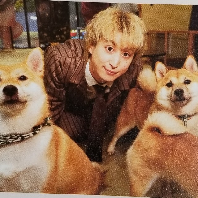 佐久間大介🐶Pet Pop SQUARE🐶切り抜き エンタメ/ホビーの雑誌(アート/エンタメ/ホビー)の商品写真