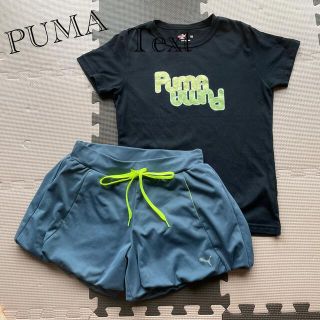 プーマ(PUMA)のPUMA Ｔシャツ&ショートパンツ(ウェア)